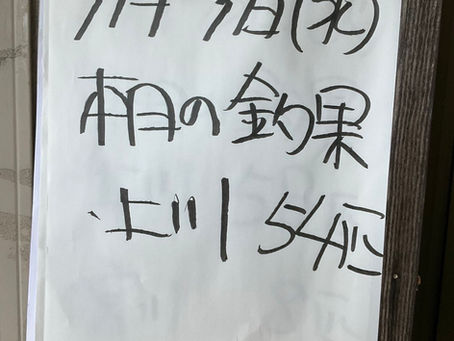 釣果報告です