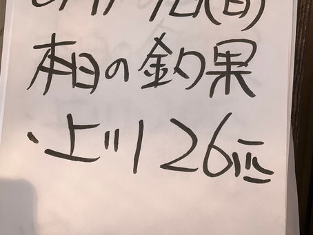本日の河川の様子と釣果報告です。