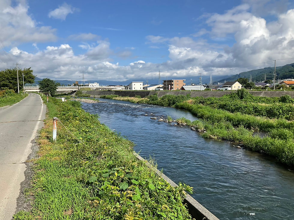 本日の河川の様子と釣果報告です