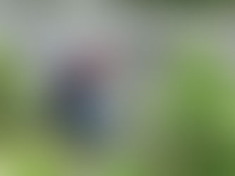 ７月５日稚アユ追加放流しました。