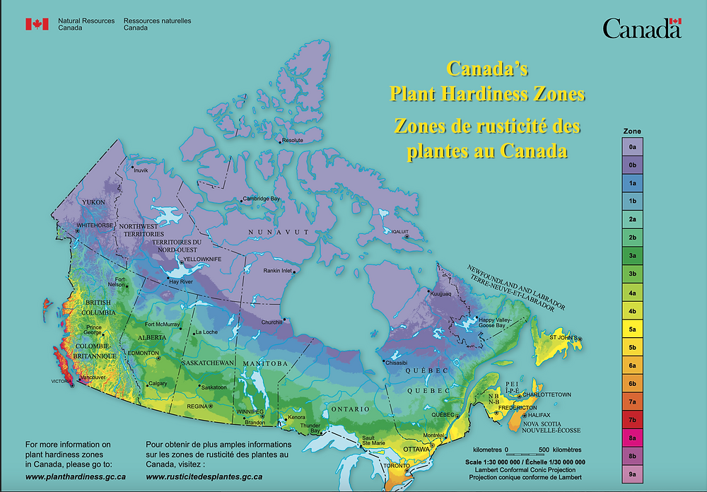 ALL ABOUT HARDINESS ZONES