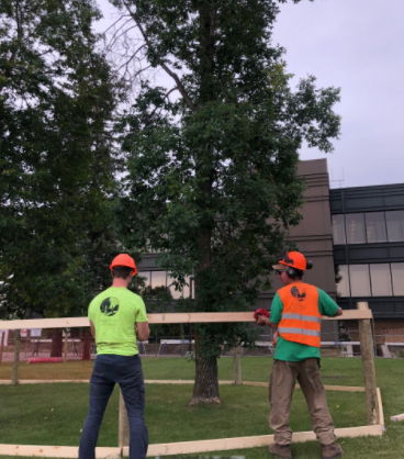 Tree Protection zone fence