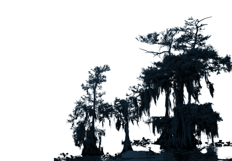 Kay's Agency, LLC Franklin, La | Auto & Home Insurance | Serving All of ...