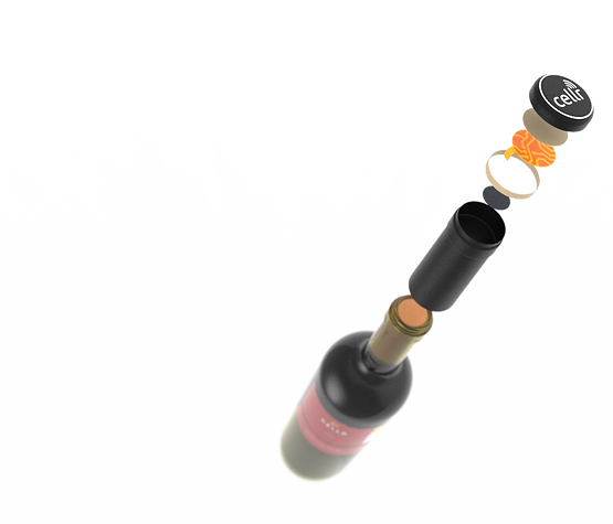 200210_CELLR_LogoR3_Exploded (2).png