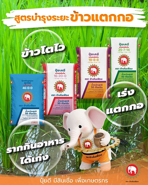 05 ปุ๋ยข้าว.jpg