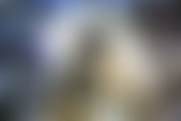 Staff / Cast -Who make BRS