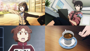 BRS Long Description