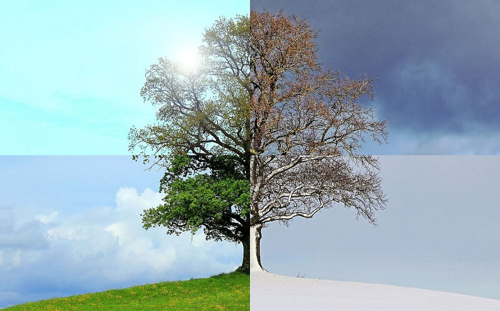 ree