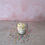 Miniatura: Birthday Candle