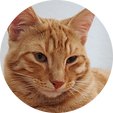 P7110029 Kopie.png