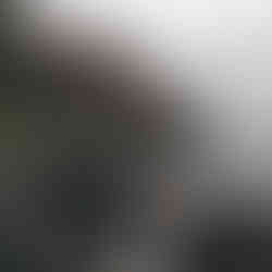 Northern Ireland Elopement