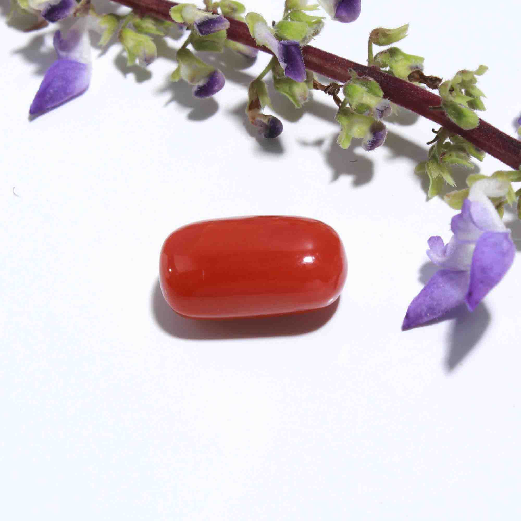 Capsule Shape Natural Red Coral Cabochon Gemstone (Moonga Ratna) 6.88 Cts. Creative Shoot by Jeevan Ratna
