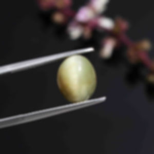 Natural Cats Eye Gemstone Oval Shape 4.23 Cts. Chrysoberyl Cabochon with Creative Photoghraphy by Jeevan Ratna