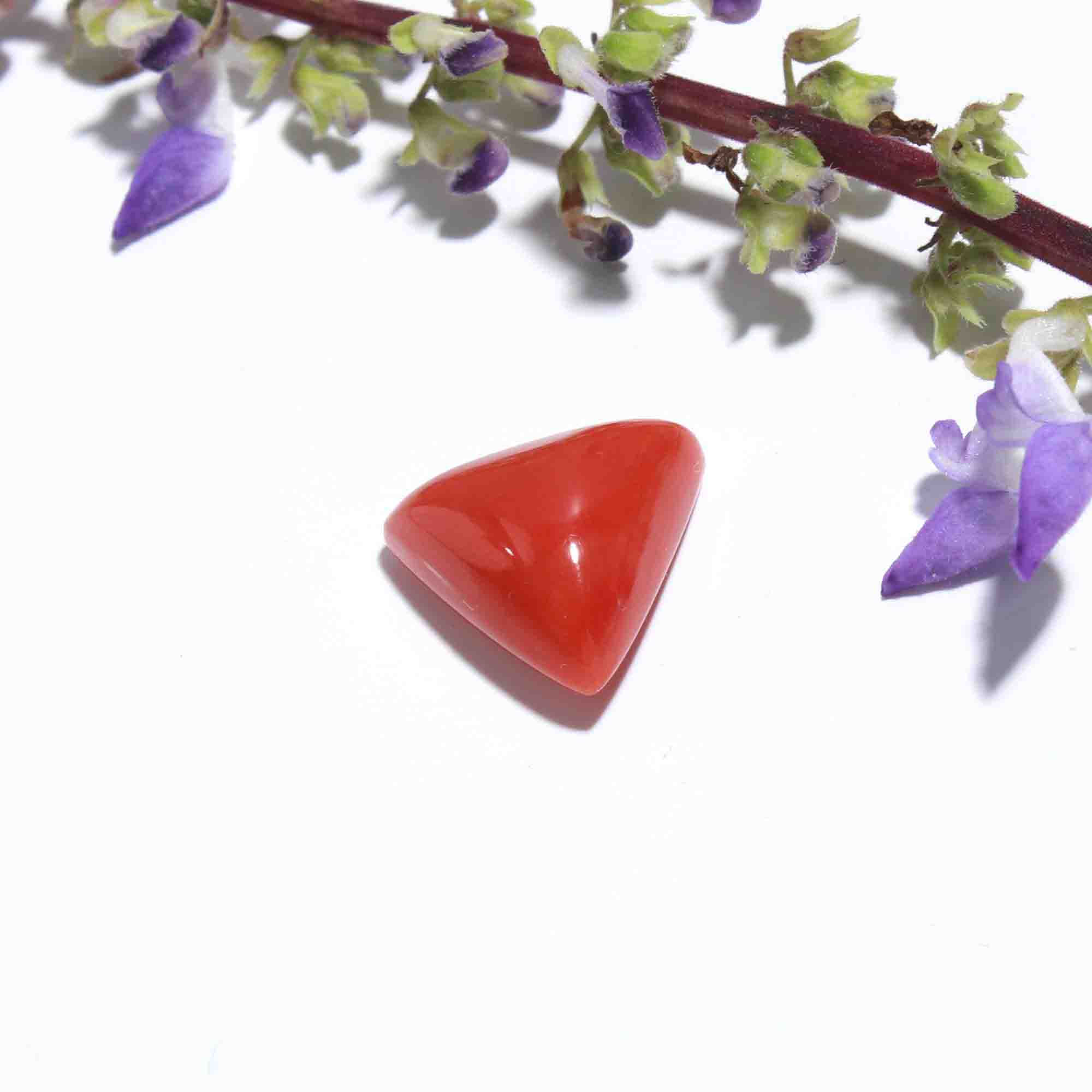 Triangle Shape Natural Red Coral Cabochon Gemstone (Moonga Ratna) 4.77 Cts. Creative Shoot by Jeevan Ratna