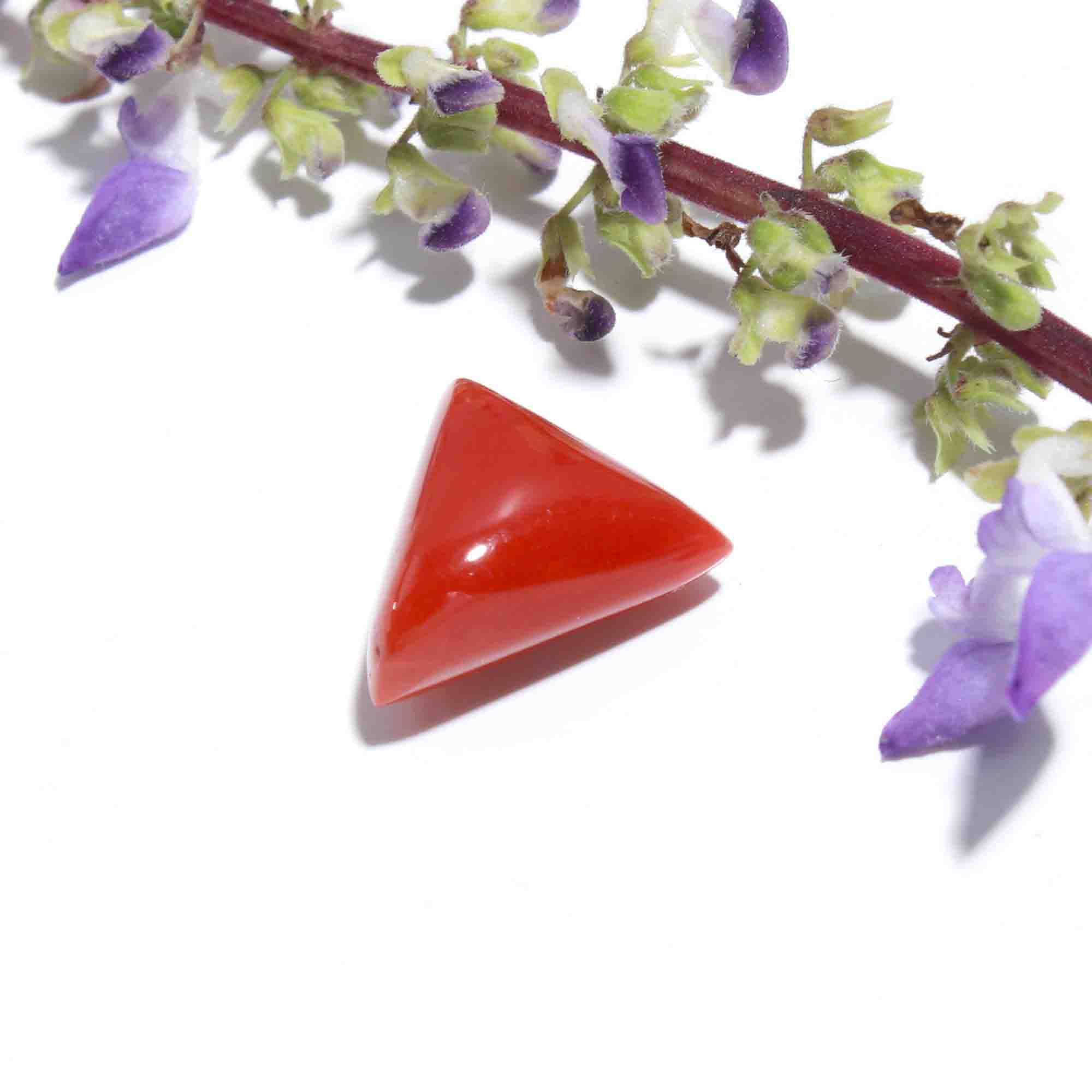 Triangle Shape Natural Red Coral Cabochon Gemstone (Moonga Ratna) 4.77 Cts. Creative Shoot by Jeevan Ratna
