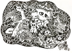 Pokemon B&W