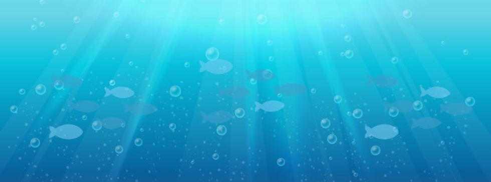 SF 2025 WEBSITE (Facebook Cover).jpg