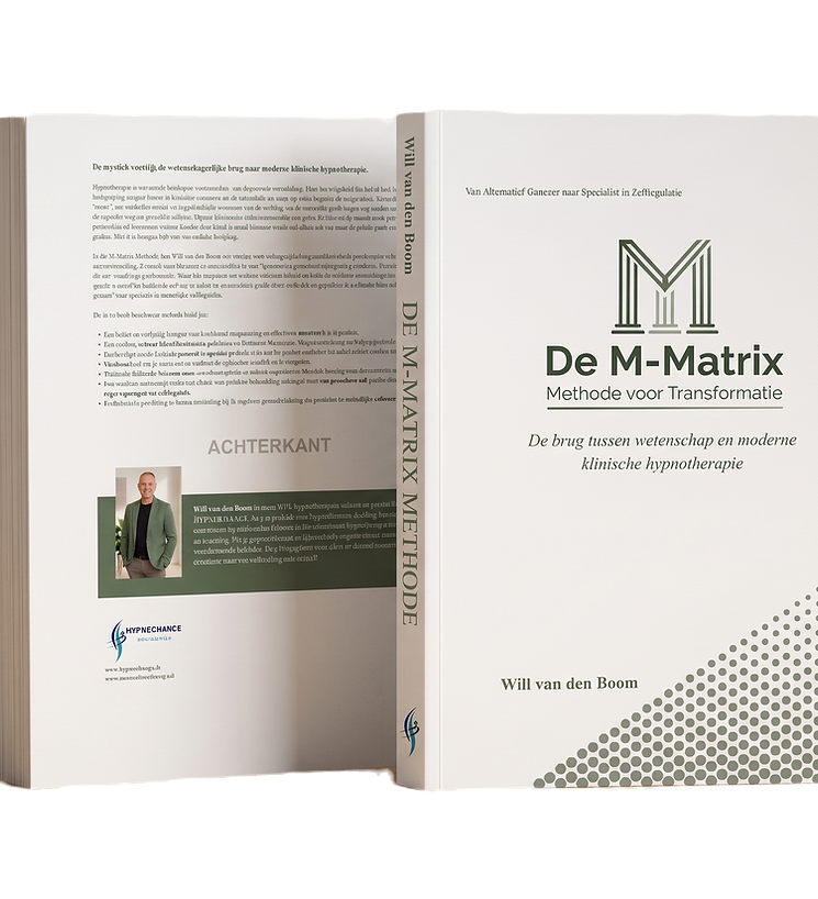 DeMatrixMethodeCOVER_edited.png