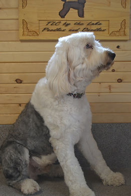 William - Retired Male