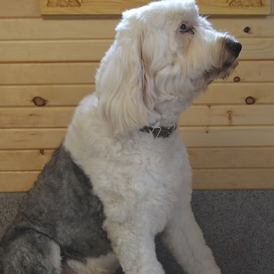 William - Retired Male