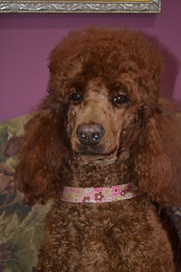 Grandma Rosie (Retired)