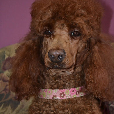 Grandma Rosie (Retired)