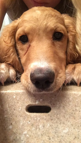 charlie-teal-girl_1_orig.jpeg