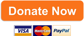 donate-now-button.png
