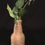 Thumbnail: Vase Glass Twine Bottle Bud Vase  20 available
