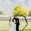 Thumbnail: Arch Heptagonal Wood Rustic Backdrop Stand