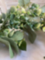 Thumbnail: Greenery Double Eucalyptus Centerpiece Garland 32”  12 available 