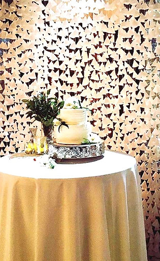 Backdrop Parchment Cone Curtain