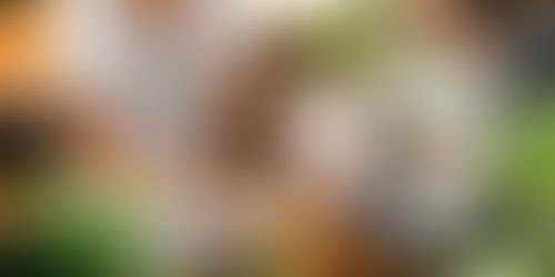 甚麽是「教练」?