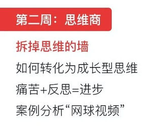 智慧父母12商督导课|思维商带来的转变