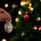Thumbnail: Tabby Cat Gourd ornament | German gourd | holiday decor 