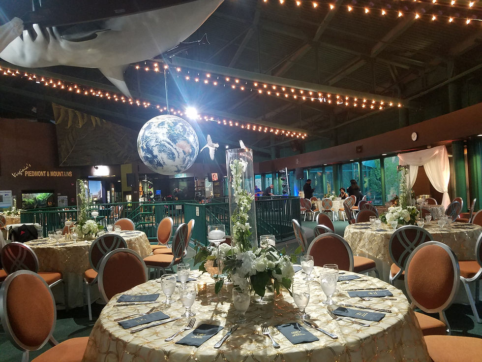 Vivid Expressions Norfolk Custom reception & centerpiece designs