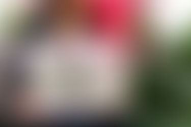 A Year of Art, Events, Intention, and Transformation