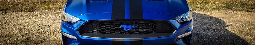 Front view of a Mustang with fresh coat of ceramic coating.