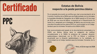 Santa Cruz es reconocida por la OMSA como zona libre de Peste Porcina Clásica (PPC).