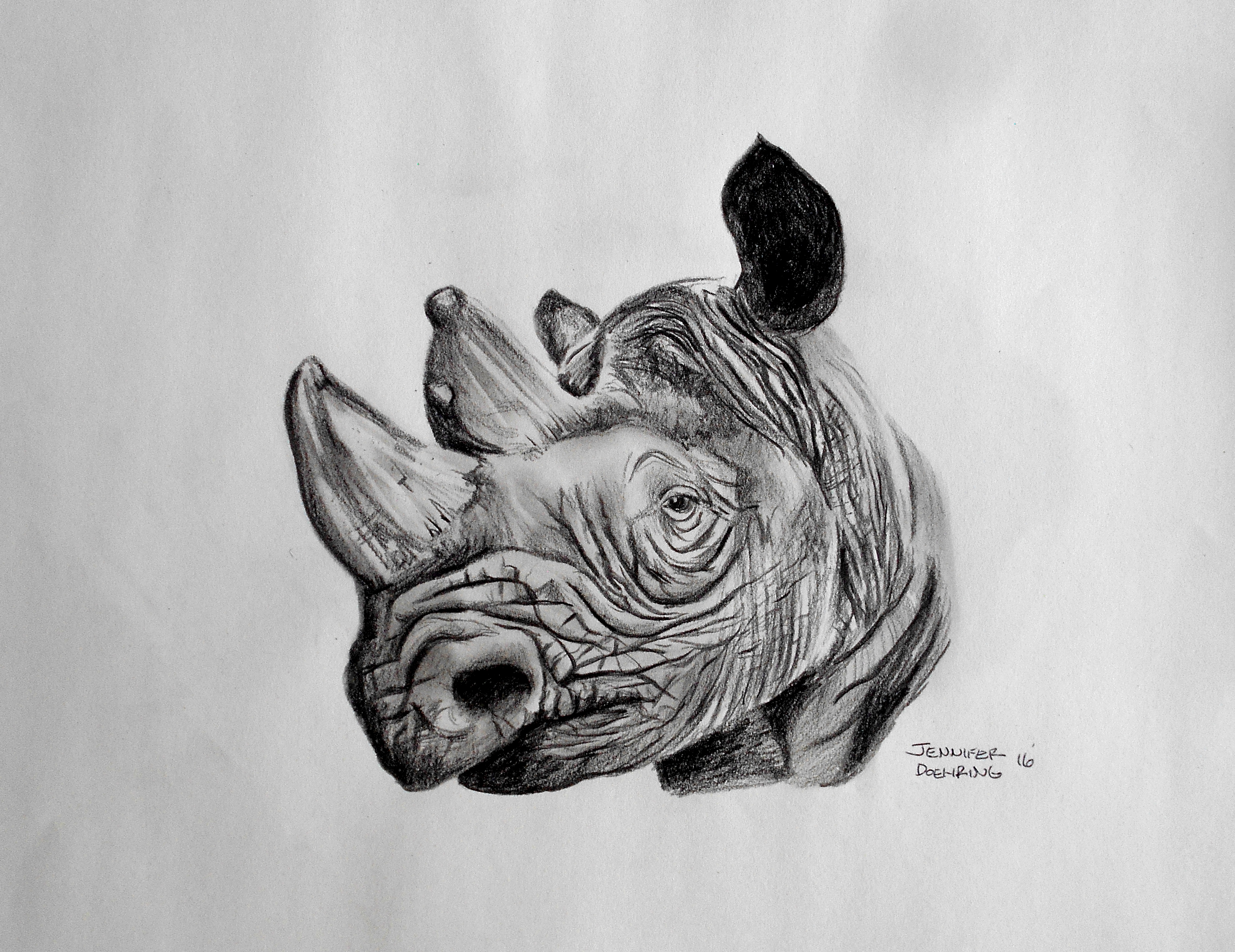 Rhino