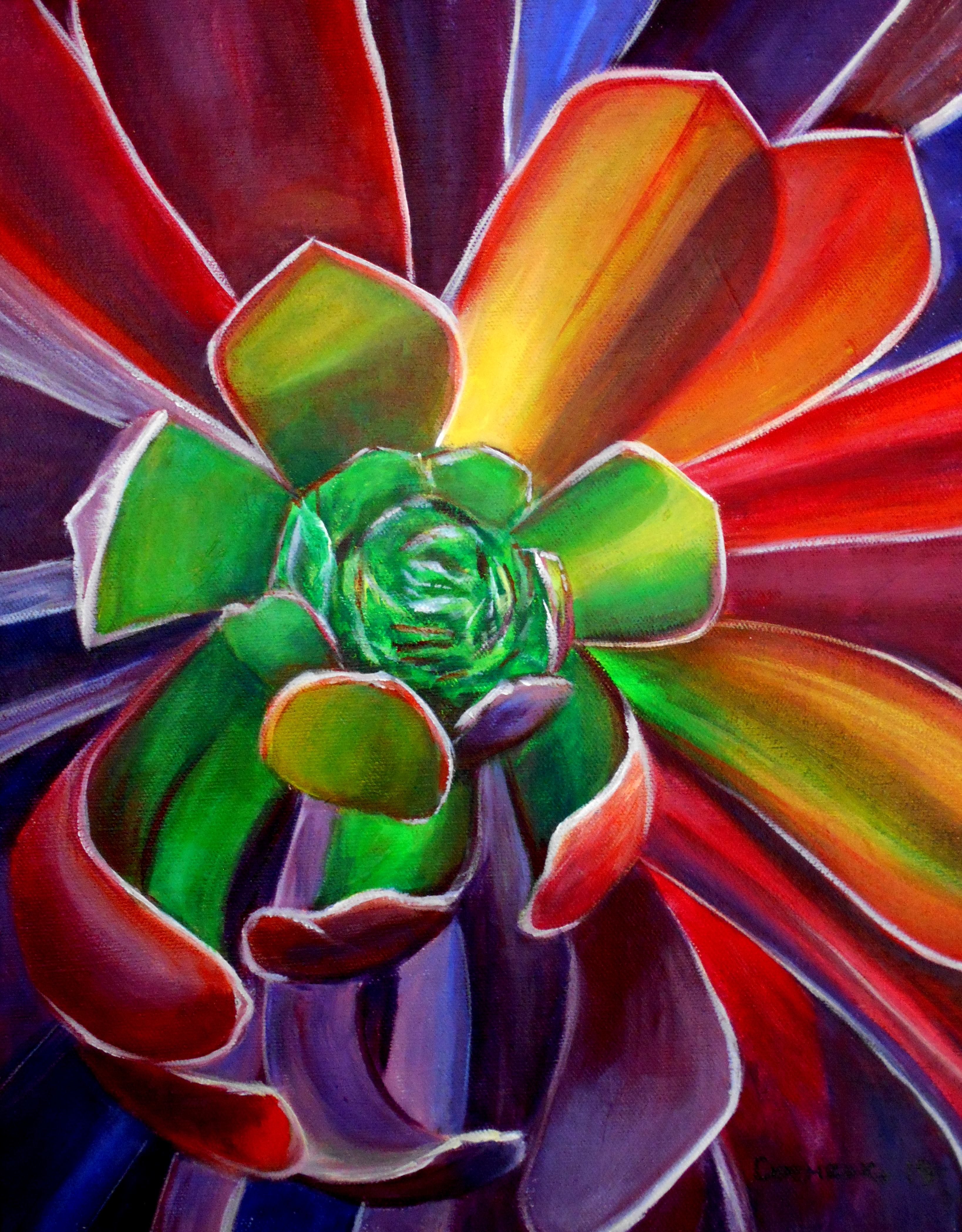 Succulent