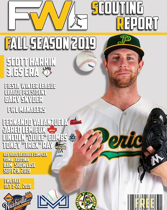 Home Fiesta Winter League