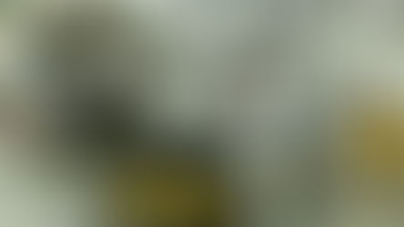 Thailand's EV boom has a new engine: Chinese trailblazers