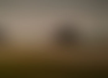 Algo diferente y atrapante, “el vuelo en formación”