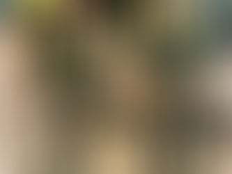 “Fuerzas aéreas amigas, una unión que nunca debe desaparecer”