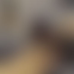 ORIGENES DEL COMBATE AIRE-AIRE