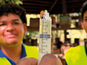 StartAê promove jornada de conscientização ambiental e aproxima jovens da riqueza da Mata Atlântica
