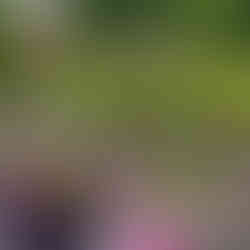 Vaizdas kaip „landšafto paveikslas“