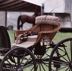LDC Carriage Image.webp