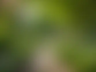 Unveiling the Unseen: The Evidential Medium's Journey of Talking to Spirits